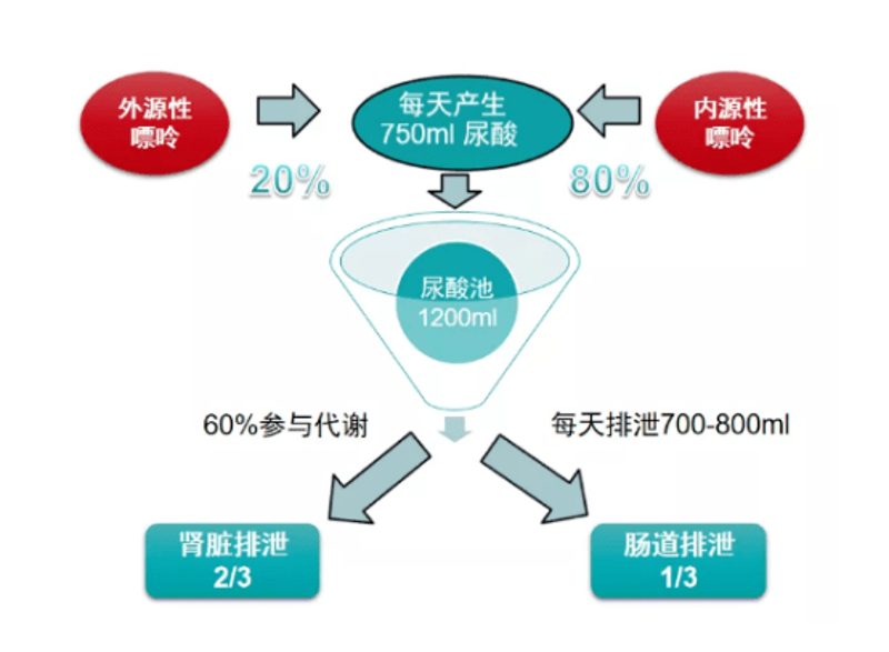 如何打造一个标志性的品牌形象？——以logo为核心